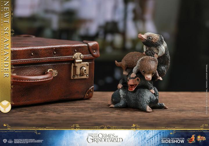 Actual product image Hot Toys Fantastic Beasts 2 "Newt Scamander" 1/6 Scale Figure