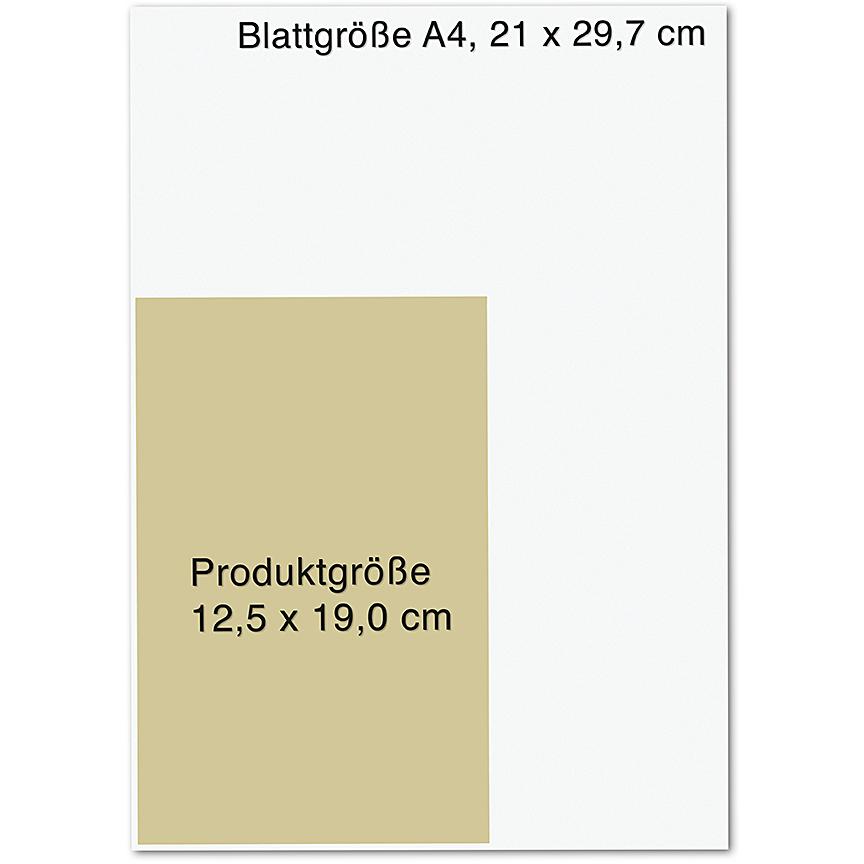 Die Radleys, Belletristik von Matt Haig, Friederike Levin