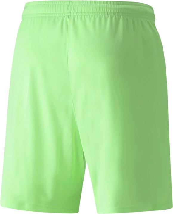 Actual product image Puma teamLIGA shorts (M)