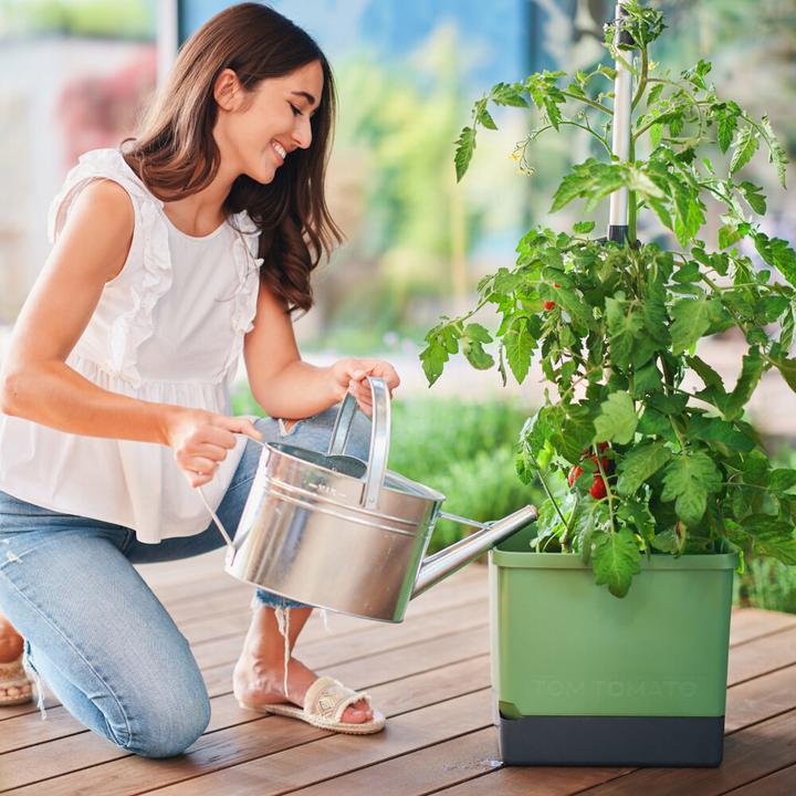 Produktbild Gusta Garden Tom Tomato (34.70 x 27.70 x 135.40 cm)