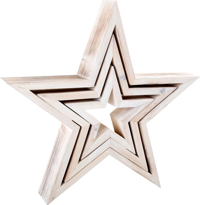 Actual product image small foot Star