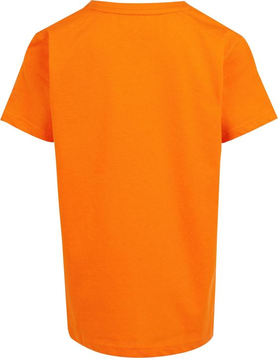 Immagine prodotto Regatta Bosley VII Maglietta Tavola da Surf Bambini (128)