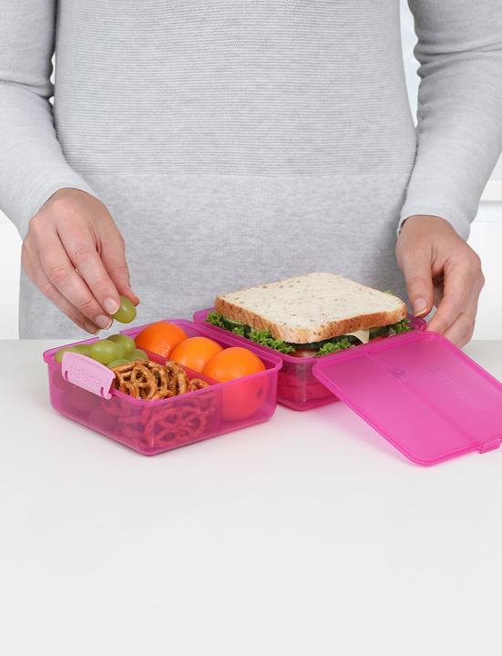 Actual product image Sistema Lunch box 'Lunch Cube