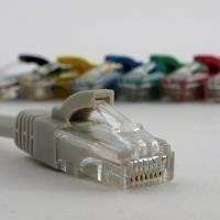 Image du produit Netrack BZPAT20U5E Câble patch RJ45, snagless boot, Cat 5e UTP, 20m pilkas (UTP, CAT5e, 20 m)