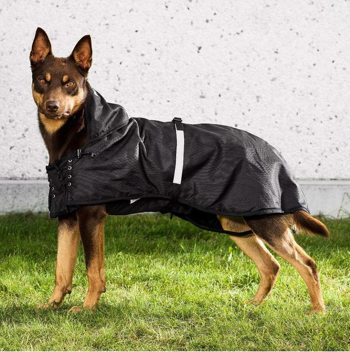 Produktbild Back on Track Dog rain jacket with lining 43 - (734004110985) (Hundemantel)