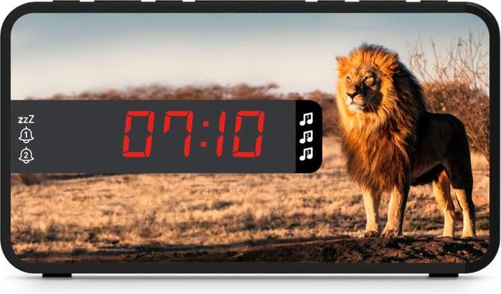 Actual product image Bigben Safari