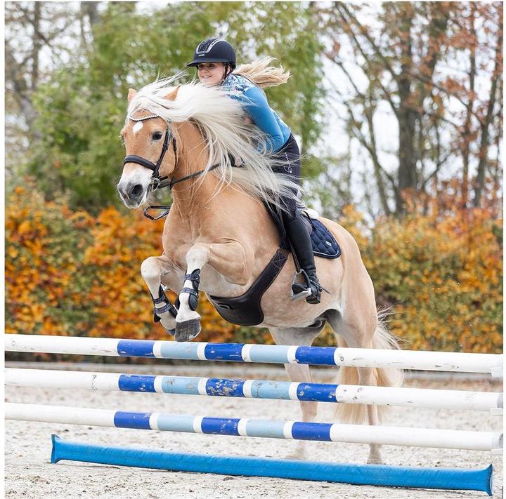 Immagine prodotto Soulhorse Giacca trapuntata in misto Crazy Connection (3XL)