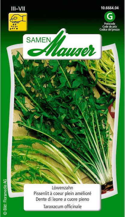 Image du produit Samen Mauser Pissenlit (Graines de légumes)