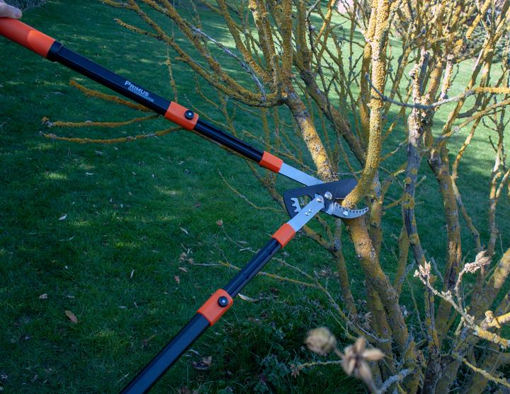 Produktbild Garten Primus Power Getriebe-Astschere