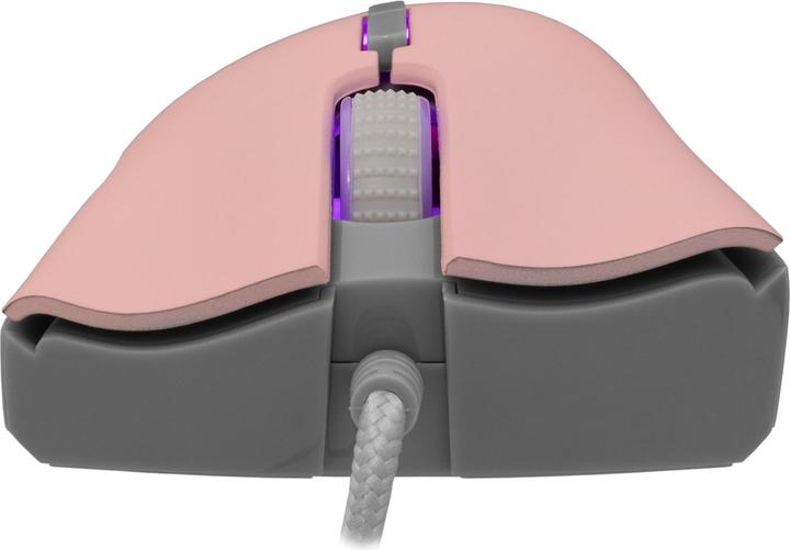 Immagine prodotto Baracuda BGM-084 Rosa aragosta (Cablato)