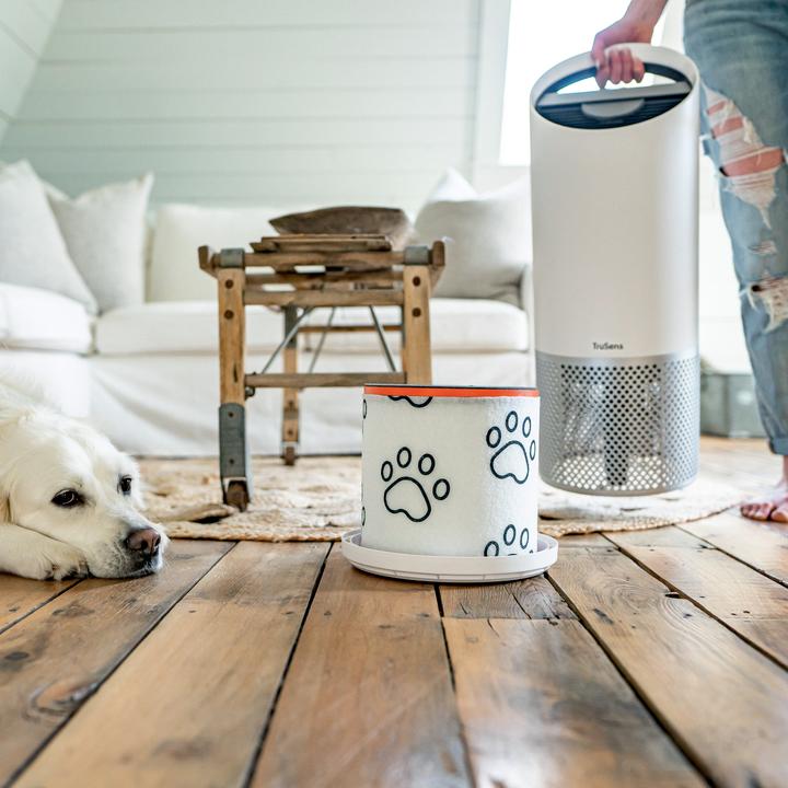 Produktbild Leitz Filtertrommel TruSens 2415129 Tier, HEPA (1x)