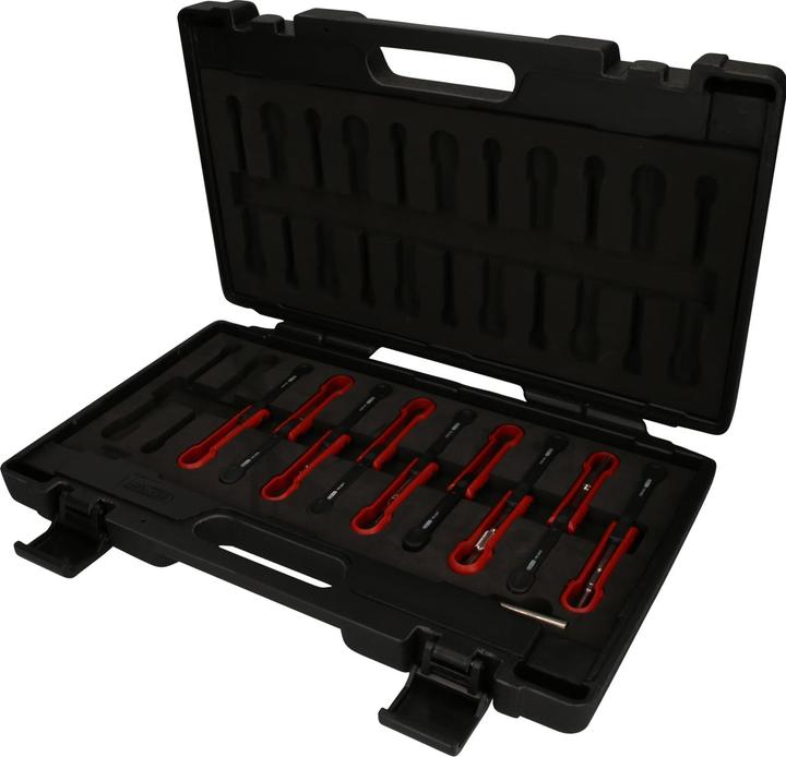 Actual product image KS Tools Professional unlocking tool set NFZ, 10 pcs.