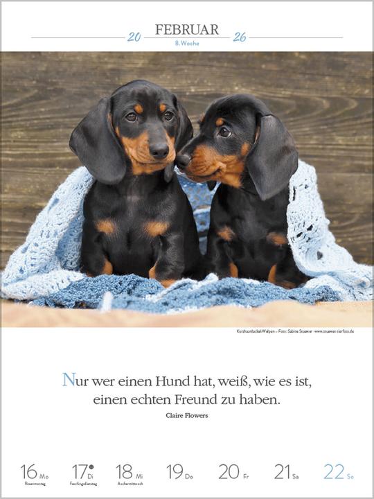 Produktbild Literaturkalender Hunde 2026 (Spezial)