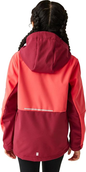 Produktbild Regatta Haydenbury II Softshelljacke (140)