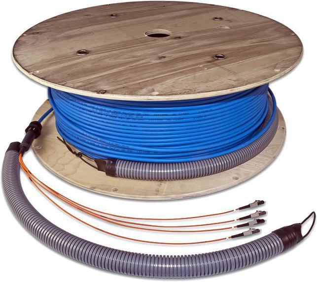 Lightwin Câble réseau (100 m)