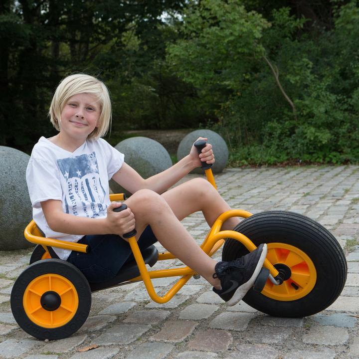 Actual product image RABO Tricycles Twister