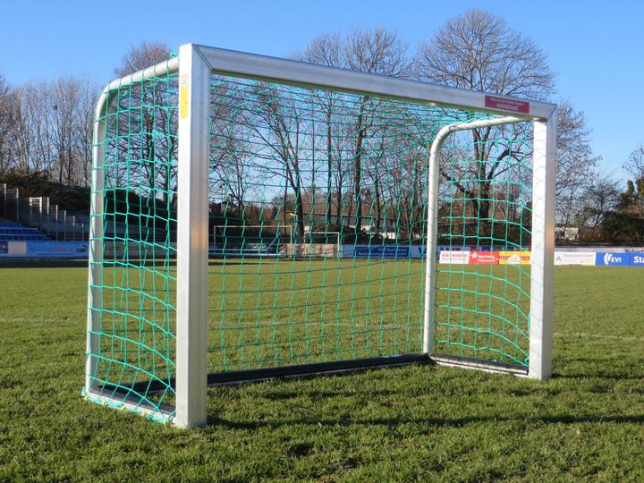 Immagine prodotto Sport-Thieme Mini porta da calcio con protezione per i giocatori