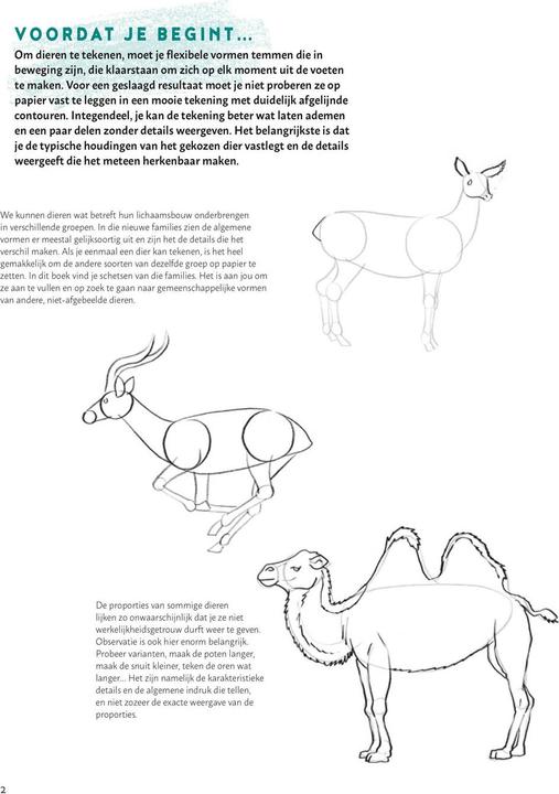 Actual product image Learn to draw animals step by step