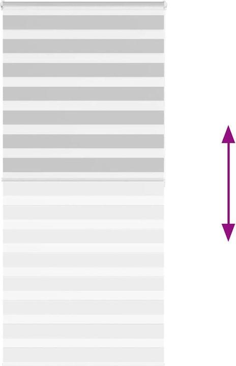 Produktbild vidaXL Zebra-Jalousie (100 x 200 cm)