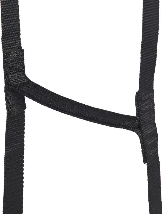 Image du produit Black Diamond Stepup 6 Ladder