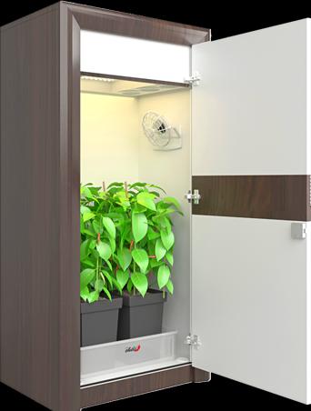 Immagine prodotto Urban Chili Set completo di grow box 3.0 LED