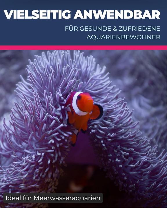 Actual product image Dupla Marin Ocean Sump OS 500 Filter System (500 l, Fresh water, Sea water)