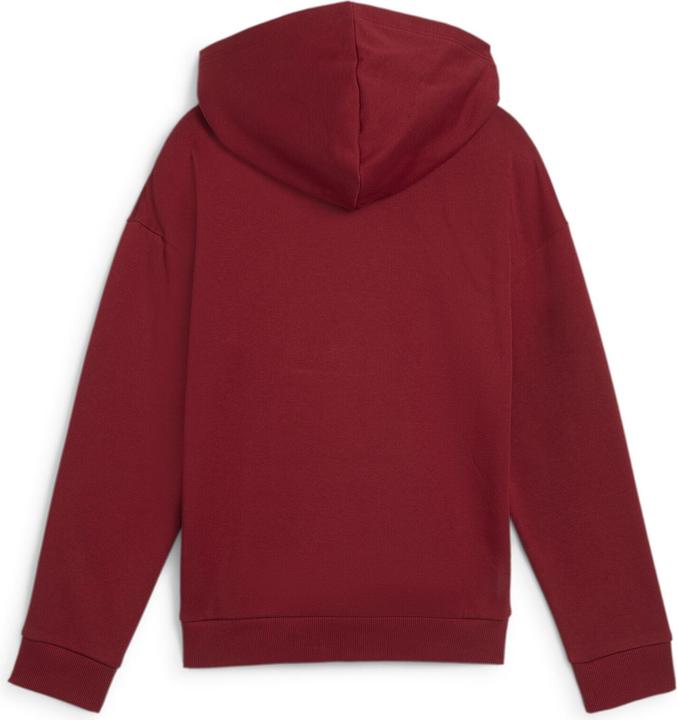 Actual product image Puma ESS+ SCRIPT Metallic Hoodie FL G (152)