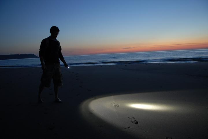 Actual product image Lifesystems Intensity 370 Hand Torch, Battery (480 lm)