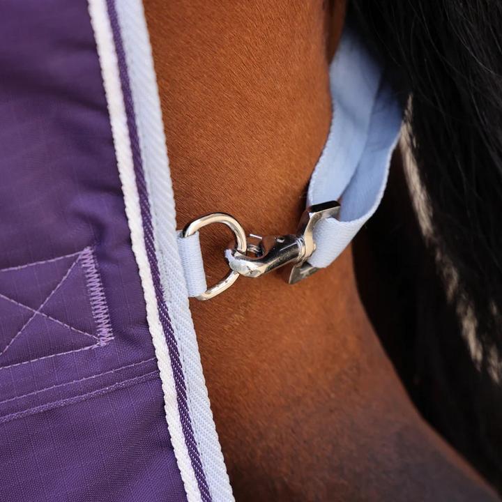 Actual product image Highlander Original 100 Standard-Neck 100g Horse Turnout Rug (221 cm)