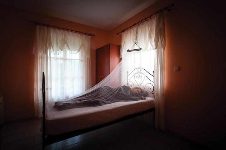 Actual product image Lifesystems MicroNet Single Mosquito Net