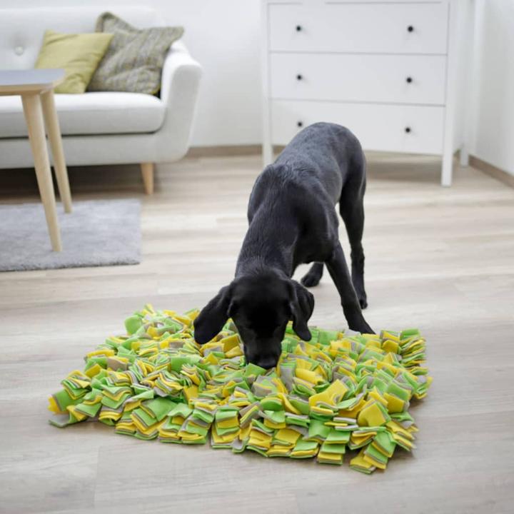 Image du produit Kerbl Schnüffelteppich (Jouet intelligent chien)