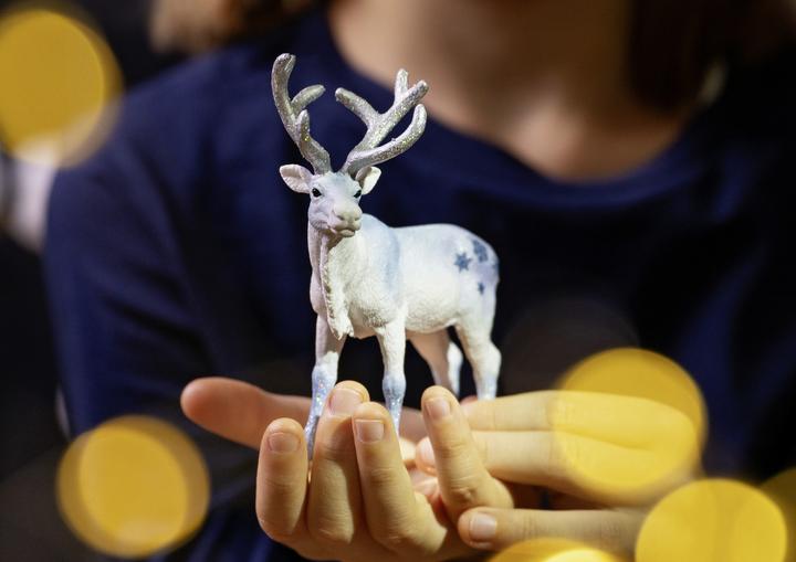 Produktbild Schleich Frostiges Weihnachtsrentier