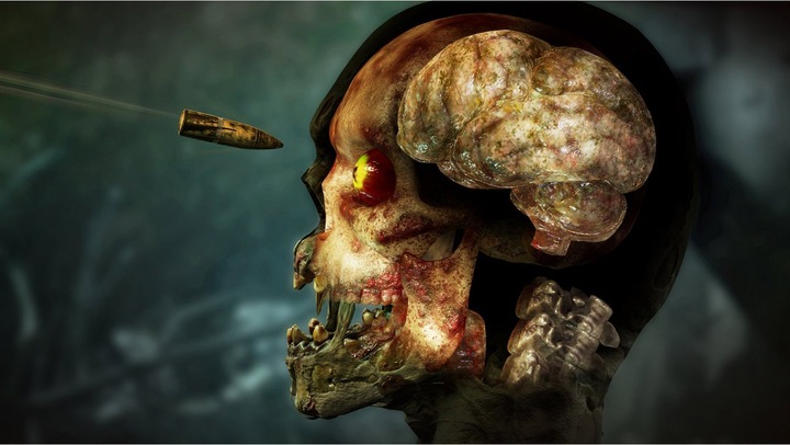 Produktbild Zombie Army 4: Dead War (PS4, DE)