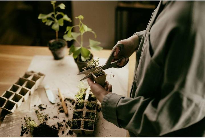 Produktbild Fiskars Floristenschere S28