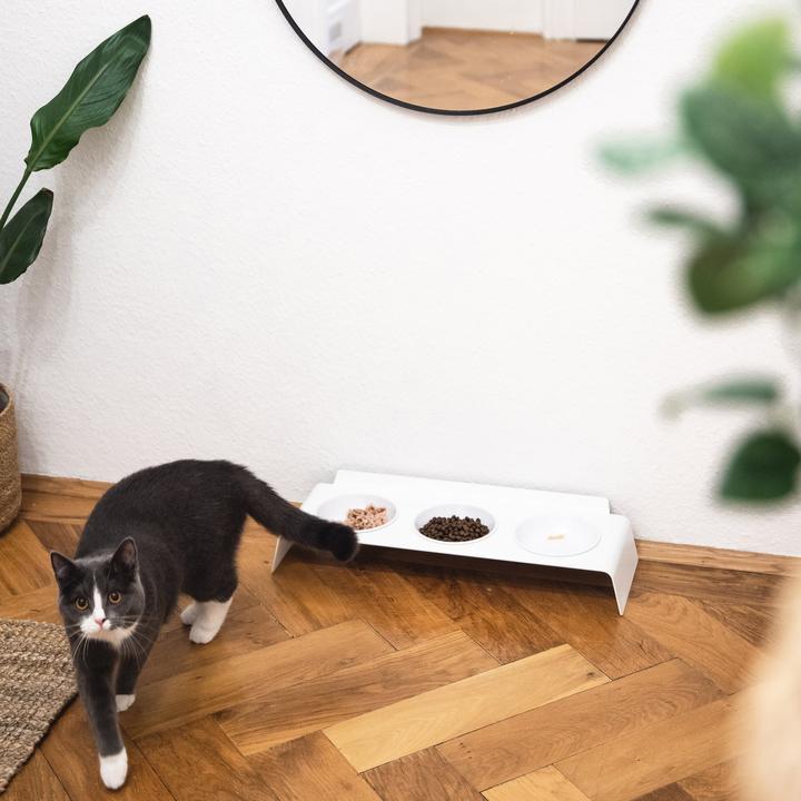 Image du produit LucyBalu BUFFET Futterstation (60 cl)