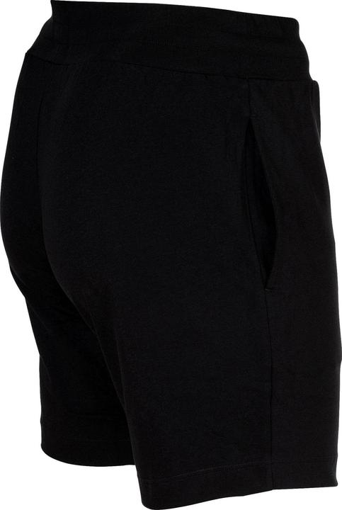 Image du produit HUGO Laze Shorts CW (L)