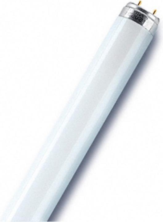 Produktbild Osram Lumilux-Lampe (G13, 3010 lm, 1x)