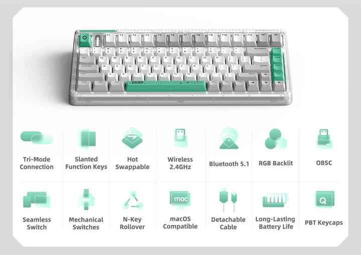 Produktbild Iqunix OG80 Wormhole (CH, Kabelgebunden, Kabellos)