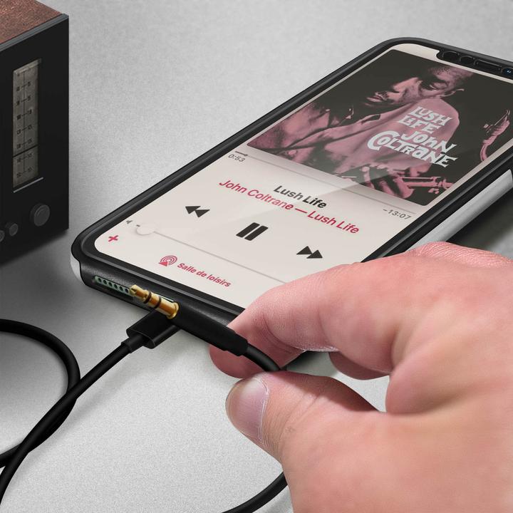 Image du produit Avizar Câble Lightning vers jack 3,5 mm (1 m)