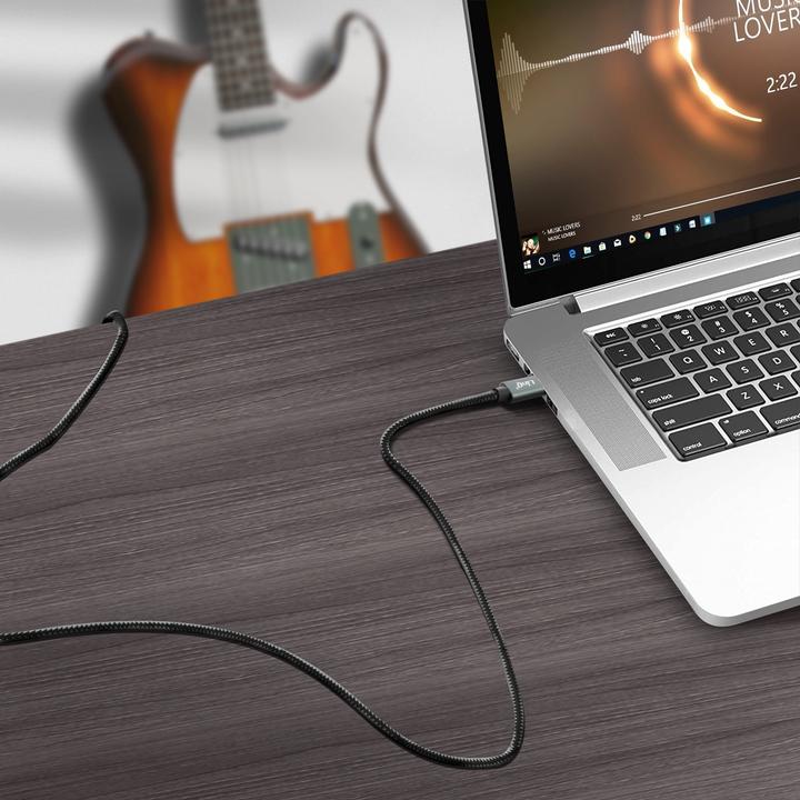 Actual product image LinQ 2in1 (1.50 m, 6.3mm jack, USB)