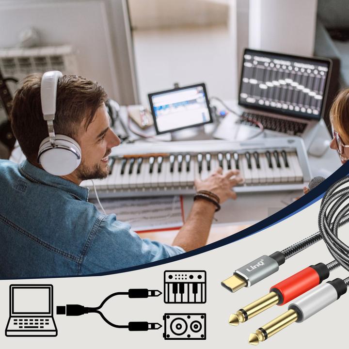 Actual product image LinQ 2in1 (1.50 m, 6.3mm jack, USB)