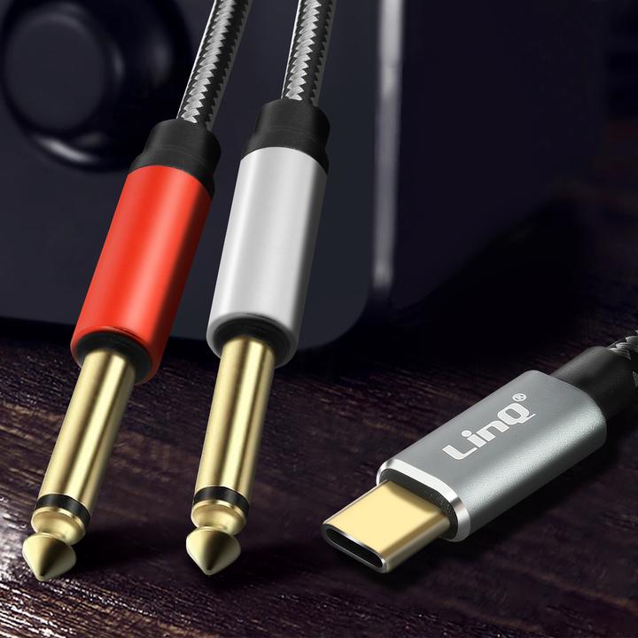 Actual product image LinQ 2in1 (1.50 m, 6.3mm jack, USB)