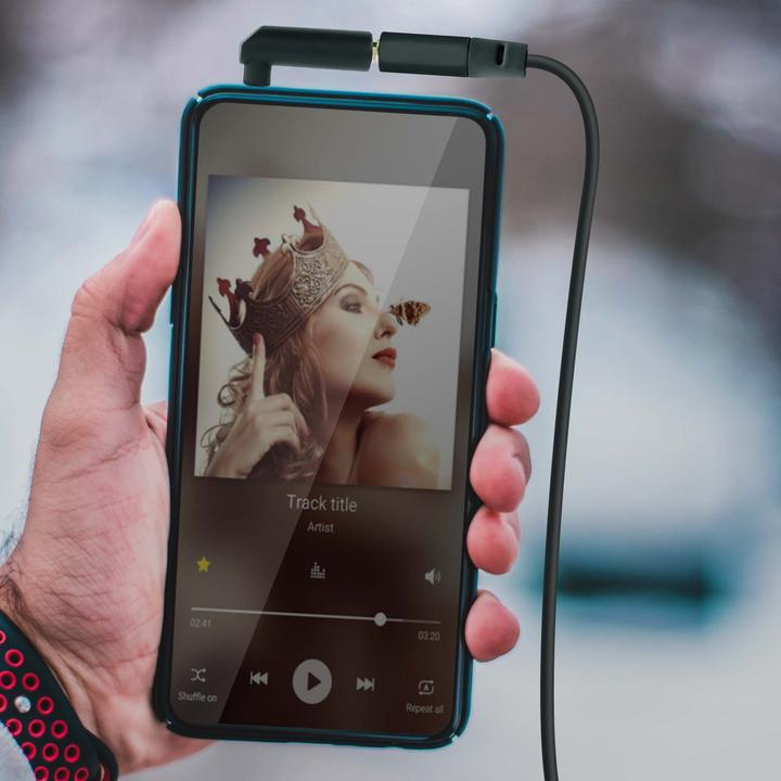 Actual product image Avizar 3.5mm audio jack to RCA adapter