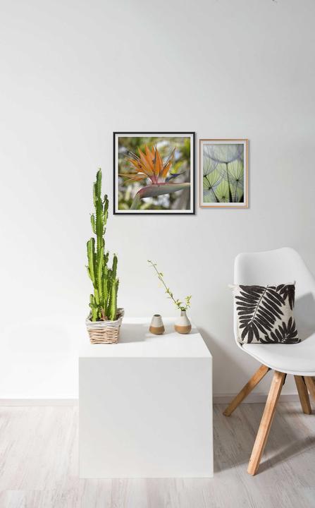 Produktbild Nielsen Accent (30 x 40 cm)