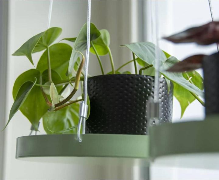 Image du produit Esschert Design Deko-Tablett