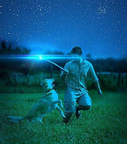 Immagine prodotto Chuckit! CHUCKIT MAX GLOW Incandescente diametro 9 cm taglia XL Bianco (Palla giocattolo per cani)