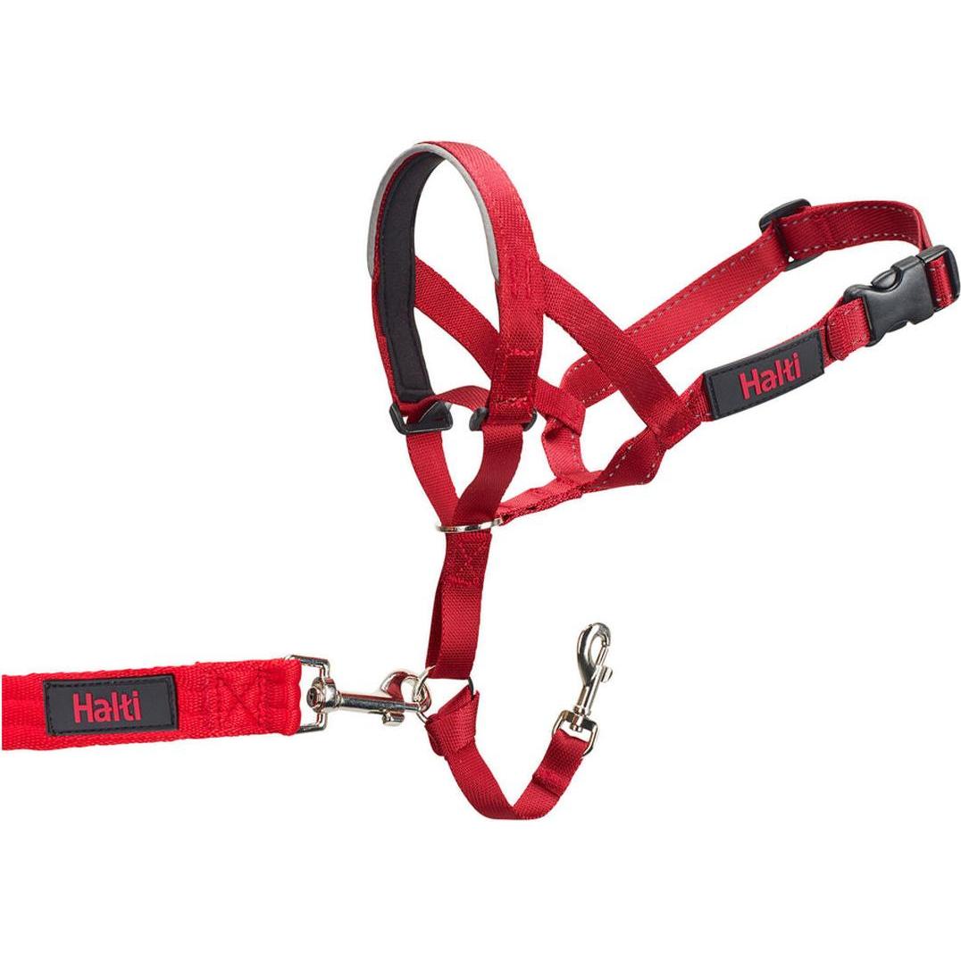 Meilleurs prix pour Collier d'entraînement pour chiens Company of Animals Halti Muselière (31-40 cm)