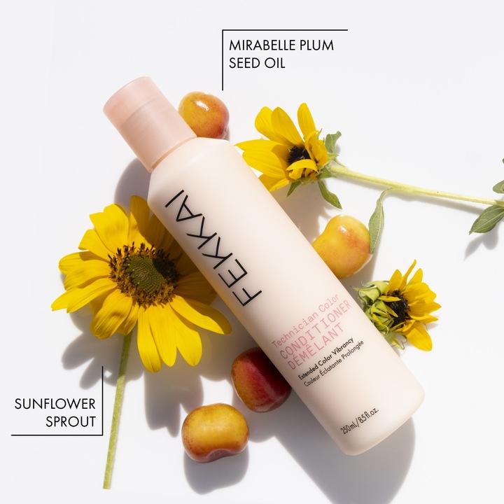Produktbild Fekkai - Technician Color Conditioner 250 ml (250 ml)