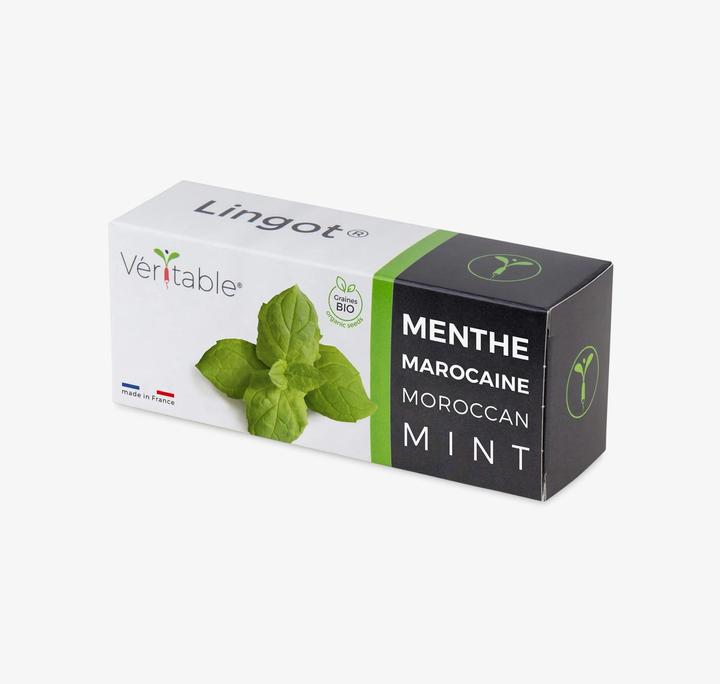 Immagine prodotto Véritable Menta marocchina (Semi di piante)
