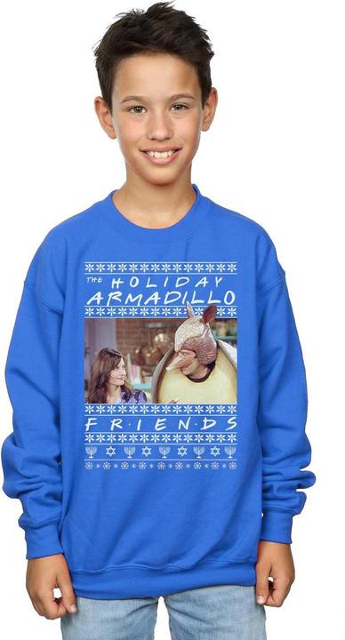 Image du produit Friends - Sweat FAIR ISLE HOLIDAY ARMADILLO - Garçon (128)